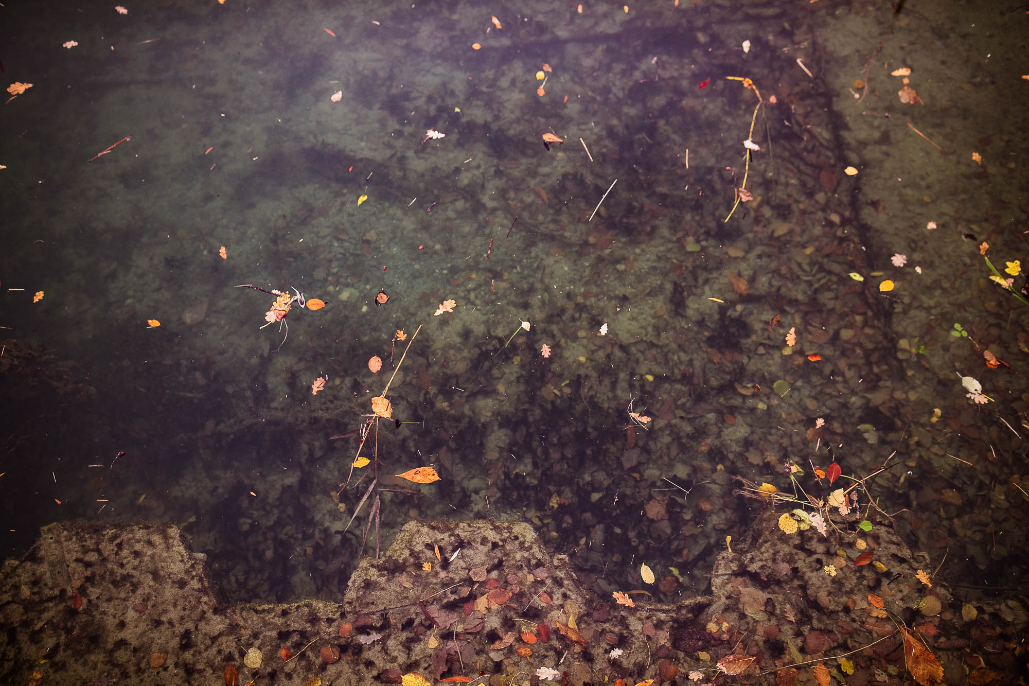 Export x3 1DX29159 Hochzeit 2020 Monika & Sharru